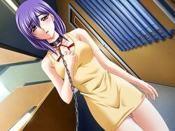 blush bondage chains clothing collar discreet_vibrator dress dutch_angle game_cg leash omochi outdoors public_vibrator purple_hair pussy_juice ryoujoku_gojuusou slave solo source_request thigh_gap thighs vibrator wallpaper yellow_eyes rating:Explicit score:45 user:bot