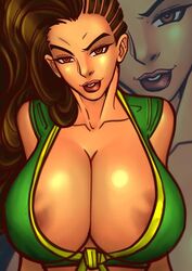 1girls areola_slip areolae breasts brown_eyes brown_hair cleavage female female_only large_breasts laura_matsuda lipstick long_hair looking_at_viewer mascara ngtvisualstudio raised_eyebrow smile smirk solo street_fighter tan_skin rating:Questionable score:69 user:Zomdra