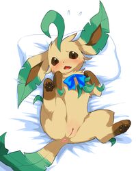 anus blush bow brown_eyes color cute_fang female female_only feral fur leafeon looking_at_viewer lying nintendo nude on_back open_eyes open_mouth paws pillow pointy_ears pokemon raised_leg solo tail tan_fur vulva wkar rating:Explicit score:10 user:bot