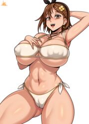 1girls arm_up armpits atelier_ryza bikini breasts brown_eyes brown_hair cleavage covered_nipples huge_breasts jmg reisalin_stout short_hair solo rating:Explicit score:12 user:ElecLurker