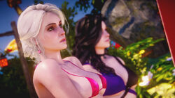 2girls 3d 3d_(artwork) alcohol beach black_hair breast ciri collar earrings eyewear_on_head female ggadams green_eyes light-skinned_female pale_skinned_female public purple_eyes scar sunglasses sunglasses_on_head swimsuit the_witcher_(series) the_witcher_3:_wild_hunt wet_body white_hair yennefer rating:Explicit score:9 user:Kokizi