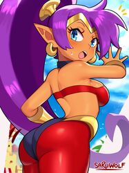 1girls absurdres artist_name ass bangs bare_shoulders blue_eyes blue_sky blush breasts dark_skin hair_ornament highres jewelry looking_at_viewer looking_back medium_breasts midriff open_mouth outdoors pointy_ears ponytail purple_hair sarukaiwolf shantae shantae_(character) shiny_clothes shiny_hair shiny_skin signature skin_tight smooth_skin solo tiara tied_hair wayforward rating:Questionable score:228 user:renamamiya