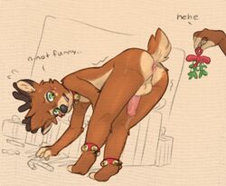 1boy anthro anus bell bent_over bodily_fluids candy capreoline cervid christmas collar dessert duo femboy food gay genital_fluids genitals holidays male male_only mammal mawmain mistletoe penis plant precum reindeer yaoi rating:Explicit score:53 user:bot