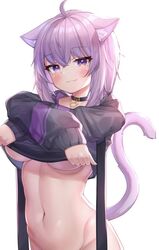 1girls :3 animal_ears animal_humanoid blush braless cat_ears cat_tail catgirl collar deaver female female_only hololive hololive_gamers hololive_japan kemonomimi navel nekomata_okayu purple_eyes purple_hair shirt_lift smirk solo tummy underboob virtual_youtuber rating:Explicit score:396 user:shadical