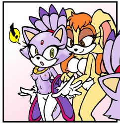 anthro blaze_the_cat chibi-jen-hen female female_only fur mammal multiple_females rabbit sonic_(series) tagme vanilla_the_rabbit yuri rating:Explicit score:2 user:bot