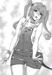 blush breasts cute_fang hanzaki_jiro hanzaki_jirou hips monochrome naked_overalls nana_asta_deviluke nipples open_mouth overalls pointy_chin sweat tail tied_hair to_love-ru twintails wide_hips rating:Questionable score:18 user:bot