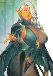 bangs breasts bridal_gauntlets cape cleavage dark-skinned_female dark_elf dark_skin earrings elf fantasy homare_(fool's_art) jewelry large_breasts lips lipstick long_hair makeup nail_polish original panties pointy_ears purple_eyes solo white_hair rating:Questionable score:253 user:Mr_Dragon