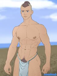 1boy abs avatar_the_last_airbender bara beach blue_eyes brown_hair clothing dark-skinned_male dark_hair dark_skin fundoshi loincloth male male_nipples male_only male_pubic_hair muscular muscular_male pecs pubic_hair smooth_skinned_male softcore sokka solo teasing topknot vansbeab rating:Explicit score:96 user:vansbeab