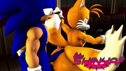 3d animated anthro big_ass big_butt bubble_butt buttjob canid canine femboy fox furry gay hedgehog miles_prower no_sound sega shinyagaia sonic_(series) sonic_the_hedgehog sonic_the_hedgehog_(series) tails tails_the_fox teasing video rating:Explicit score:107 user:Tulatowner