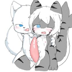 blue_eyes blush changed_(video_game) changed_fan_artist cum drooling furry gay lin_(changed) nipples penis shark shark_(changed) white_hair rating:Explicit score:102 user:tigersharkxd