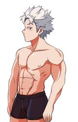 abs blush boxers gray_eyes male male_only my_hero_academia natsuo_todoroki solo_male todoroki_natsuo underwear white_hair rating:Questionable score:18 user:socksrrs