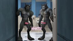  2boys 3d canine_penis eviltoastedmw furry glory_hole highres male_only naked toilet werewolfr worgen world_of_warcraft  rating:explicit score: user:a_microwave