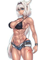 animal_ears bangs belt bikini blue_eyes bra breasts caenis_(fate) cleavage collarbone cowboy_shot cutoffs dark-skinned_female dark_skin denim denim_shorts dog_tags eyebrows_visible_through_hair fate/grand_order fate_(series) female hair_intakes hairband highleg highleg_bikini highleg_panties jewelry large_breasts long_hair multi_ear muscular muscular_female navel necklace open_mouth panties short_shorts shorts sidelocks skindentation solo standing studded_belt swimsuit tattoo tomliat underwear white_hair wristband rating:Questionable score:95 user:grimmriper25