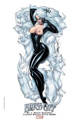 2009 black_cat_(marvel) bodysuit breasts edgar_delgado edit felicia_hardy female female_only human j_scott_campbell looking_at_viewer marvel mask nipples open_mouth photoshop shiny_suit solo spider-man_(series) straight_hair unzipped white_hair zipper_pull_tab rating:Explicit score:32 user:bot