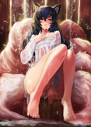 1girls ahri barefoot big_ass big_breasts black_ears black_hair bra breasts female fluffy fluffy_ears fluffy_tail goomrrat_(グムラット) league_of_legends long_hair looking_at_viewer panties riot_games shirt shower solo solo_female underwear water wet_body wet_breasts wet_clothes wet_panties wet_shirt wet_underwear yellow_eyes rating:Questionable score:81 user:Lewddude69