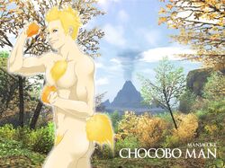 ass beige_skin blonde_hair chest_tuft chocobo color day final_fantasy hair male male_only outdoors pubic_hair purple_eyes round_ears short_hair side_view sky smile smoke solo standing tail wink rating:Explicit score:2 user:bot