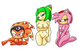 amy_rose anthro anthro_only breasts color cosmo_the_seedrian echidna female female_only furry furry_only hedgehog kneeling looking_at_viewer lying mammal monotreme multiple_girls nipples nude on_stomach prone seedrian shade_the_echidna sitting sonic_(series) thegeckodemon rating:Explicit score:15 user:bot