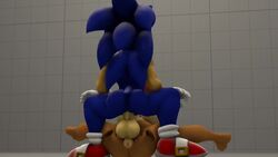 3d animated big_balls big_breasts big_penis cum cum_in_ass cum_inside exposed_torso five_(artist) footwear futa_on_male futanari handwear looking_pleasured male_penetrated mostly_nude sally_acorn sfm_default_map sonic_(series) sonic_the_hedgehog sonic_the_hedgehog_(series) sound source_filmmaker tagme video rating:Explicit score:52 user:Big_booty_tails