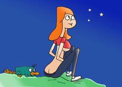 animated candace_flynn disney female feral fur helix human male mammal monotreme perry_the_platypus phineas_and_ferb platypus rating:Explicit score:5 user:bot