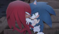 anal anal_sex furry gay knuckles_the_echidna legs_held_open male_only male_penetrated outside penis rain sex sonic_(series) sonic_the_hedgehog sonic_the_hedgehog_(series) sonknux rating:Explicit score:31 user:bootybuster