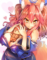 fate/extra fate/grand_order fate_(series) tagme tamamo_no_mae_(fate) wisespeak rating:Questionable score:16 user:nectarine