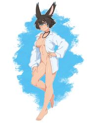 animal_ears bangs barefoot black_hair blue_eyes blue_hair bottomless bunny_ears collarbone colored_tips commentary dress_shirt english_commentary eyebrows_visible_through_hair female female full_body hair_between_eyes hand_on_hip hand_on_own_thigh highres looking_at_viewer multicolored_hair naked_shirt open_clothes open_shirt original outline rabbit_ears rob_ishi shirt simple_background smile solo tracie_(rob_ishi) two-tone_hair white_outline white_shirt rating:Questionable score:36 user:DemonKitty15