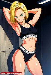 ai_generated android_18 blacked blacked_clothing dragon_ball dragon_ball_super dragon_ball_z rating:Questionable score:41 user:dittoseeker