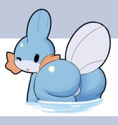 anthro big_ass bubble_butt huge_ass mudkip pokémon_(species) pokemon sleepysous tagme rating:Explicit score:70 user:Rapattack12