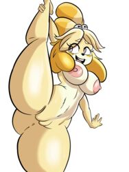 1girls 5_fingers absurd_res animal_crossing anthro blonde_hair breasts canid canine canis erect_nipples female flexing fur furry furry_only hi_res humanoid_hands isabelle_(animal_crossing) naked nathanatwar nintendo nipples nude open_mouth pupils pussy short_hair smile splits spread_legs sweat thick_thighs whateverdoes white_background yellow_fur rating:Explicit score:98 user:r.y