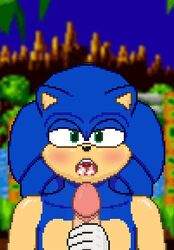 2boys animated blowjob cum cum_inside fellatio gay handjob infinitumx10 male male/male penis pixel_art sega sonic_(series) sonic_the_hedgehog sonic_the_hedgehog_(series) surprised rating:Explicit score:12 user:infinitumX10