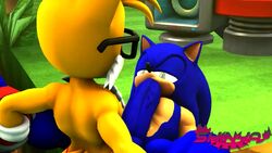 3d animated big_penis blackcherry blowjob gay huge_cock male mp4 no_sound penis sega shinyagaia sonic_(series) sonic_the_hedgehog tagme tails video video_games rating:Questionable score:52 user:conmazda