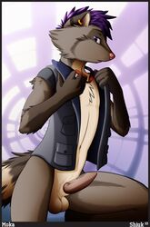  1boy 2010 digital goggles male male_only moka nude raccoon shiuk solo  rating:explicit score: user:bot