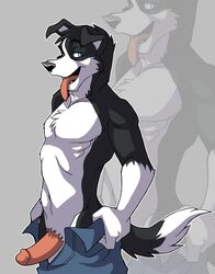 anthro black_fur black_nose blue_eyes border_collie canine chest_tuft clothes color dog eli erection fur furry furry_ears furry_tail glans humanoid_penis jailbird looking_at_viewer looking_left male male_only open_mouth pants pants_down penis pointy_ears side_view solo standing tail testicles tongue topless white_fur zoom_layer rating:Explicit score:9 user:bot