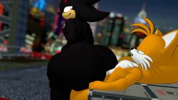 anal animated anthro anthro_only femboy gay gay_domination gay_sex loop miles_prower no_humans praisebooty sega shadow_the_hedgehog short_playtime sonic_(series) sonic_the_hedgehog_(series) tagme tails video rating:Explicit score:84 user:FlipFlopper