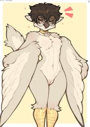  anthro avian claweddrip feathers female furry glasses pussy round_glasses simple_background solid_color_background tagme  rating:explicit score: user:bruhfuck69