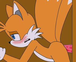 2_tails 2boys anal animated anthro ass blue_eyes fox furry gay glory_hole male male/male male_only mammal miles_prower moaning multi_tail penis sega solo sonic_(series) sonic_the_hedgehog_(series) sound source_request spanky15 tail tails tails_the_fox video yellow_body yellow_fur rating:Explicit score:124 user:deleted100344