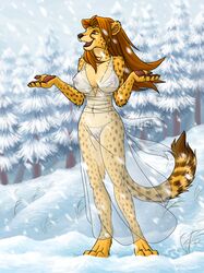 anthro bra breasts cheetah dress feline female female_only fur hyhlion meow outdoors panties pussy see-through see-through_bra see-through_dress see-through_panties shrug skimpy snow solo rating:Explicit score:11 user:bot