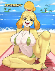 1girls animal_crossing animal_crossing_new_horizons anthro ass beach big_breasts bikini bra breasts bursting_breasts canid canine canis cleavage clothing female female_only fur furry furry_only green_bra green_panties headband hi_res humanoid isabelle_(animal_crossing) large_breasts mature_female nintendo panties red_headband sand sitting sitting_down sitting_on_towel smiling solo tongue towel truewaifu underwear watermark rating:Questionable score:85 user:obamakfc