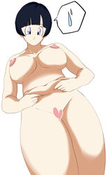 areolae asian asian_female belly belly_grab big_breasts black_hair blue_eyes censored dragon_ball dragon_ball_z hazama_null heart_censor light-skinned_female light_skin mature mature_female milf mother nipples thick_thighs videl wife rating:Explicit score:22 user:RealPopNas