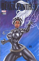 1girls black_panther_(cosplay) black_panther_(series) black_panther_suit chris_foulkes comic_cover cosplay curvy curvy_female dark-skinned_female dark_skin female female_only fully_clothed hourglass_figure human human_only light-skinned_female light_skin marvel marvel_comics mature mature_female ororo_munroe solo solo_female storm_(x-men) straight_hair tagme tight_clothing voluptuous voluptuous_female x-men rating:Safe score:23 user:randomaccount0897