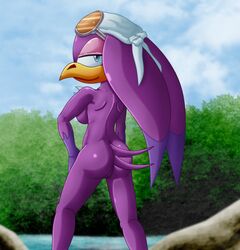 anthro ass back_view bandana beak bird blue_eyes breasts chaossabre color day eyewear female female_only glasses looking_back nude open_eyes outdoors sky smile solo sonic_(series) sonic_riders standing swallow tagme tail vulva water wave_the_swallow rating:Explicit score:7 user:bot