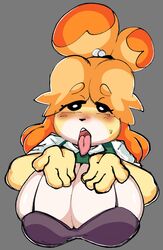 2022 2d animal_crossing anthro big_breasts blush bra breasts canid canine canis cleavage clothing dork_boi female female_only fur furry furry_only isabelle_(animal_crossing) lewd_dorky mob_face nintendo office_lady shih_tzu solo tongue tongue_out rating:Questionable score:37 user:Thepolloman