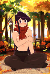 1girls autumn_leaves big_breasts big_eyes black_hair blush breasts chest covering covering_breasts crossed_legs embarrassed fall female female_only highres komi-san_wa_komyushou_desu komi_shouko legs legwear light-skinned_female long_hair looking_at_viewer mouthless navel no_mouth no_shoes outdoors outside panties_visible_through_clothing pantyhose park purple_eyes scarf sitting solo squeezable surprised rating:Questionable score:191 user:Mivaza