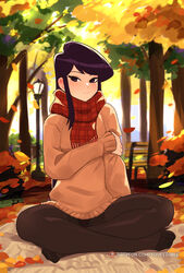 1girls autumn_leaves barefoot black_hair blush clothed crossed_legs ear_blush eyelashes fall female female_only highres komi-san_wa_komyushou_desu komi_shouko legs legwear light-skinned_female long_hair looking_at_viewer no_shoes outdoors outside panties panties_visible_through_clothing pantyhose park purple_eyes scarf sitting smile solo squeezable sweater rating:Safe score:206 user:Mivaza