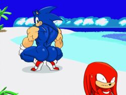 2021 2boys animated animated anthro ass ass ass_focus beach big_ass big_butt big_muscles blue_body blue_butt bodily_fluids broly_culo butt_focus clothing crouching duo echidna eulipotyphlan footwear furry gloves green_eyes grin handwear hedgehog jackofak knuckles_the_echidna looking_back male male_only mammal meme monotreme mostly_nude muscular muscular_anthro muscular_male outside parody red_body red_clothing red_footwear red_shoes sand seaside sega shoes smile sonic_(series) sonic_the_hedgehog sonic_the_hedgehog_(series) spread_legs spreading sweat teeth water white_clothing white_gloves white_handwear rating:Questionable score:19 user:Meer