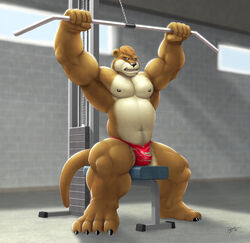 2011 anthro belly biceps big_muscles blonde_hair braford bulge clenched_teeth furry green_eyes hair male male_only musclegut muscles mustelid no_humans otter pecs solo speedo swimsuit thong weightlifting weights rating:Explicit score:10 user:bot