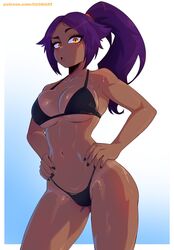 big_breasts bikini bleach dark-skinned_female dashi_art fit_female golden_eyes ponytail purple_hair purple_ponytail shihouin_yoruichi suprised rating:Questionable score:274 user:Nostalgia_64