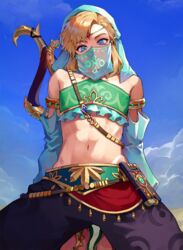 1boy artist_request gerudo_link link male male_only midriff solo tagme the_legend_of_zelda rating:Questionable score:106 user:willforget