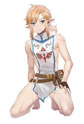 1boy blonde_hair link male_only partially_clothed scar solo tagme the_legend_of_zelda rating:Questionable score:42 user:willforget