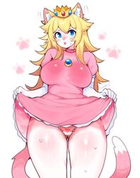 animal_ears anthro breast cat_peach catgirl cyan_eyes feline fluffy_ears flushed fredek666 furry mario_(series) princess princess_peach showing_panties solo solo_female super_mario_3d_world yellow_hair rating:Questionable score:145 user:Nzen